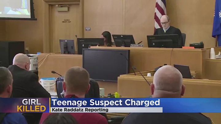 Teen Suspect Charged In Lily Peters' Killing