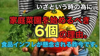 PC周辺パーツの価格は、既に日本でも上がっています。次は食品と見ています。