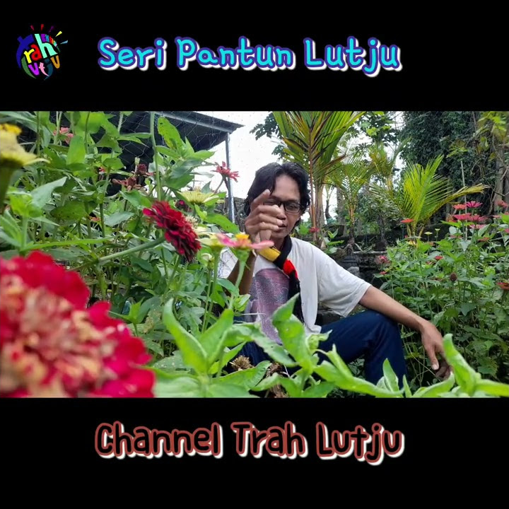 pantun terima kasih | Seri #pantun lucu