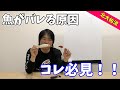 【北大祐流】少し工夫すると魚がバレにくい方法教えます！