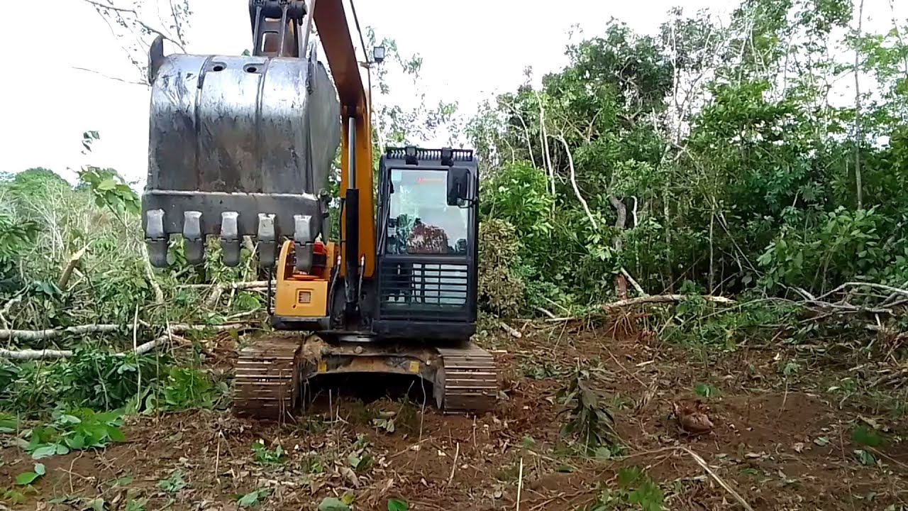 cara steking, garap lahan sawit dengan alat berat kelas 7 ton Sany sy75c