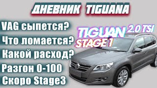 Tiguan 2.0 TSI Stage1 - VAG сыпется? Отзыв владельца! Какой расход? Динамика? Дневник Tiguana 1часть