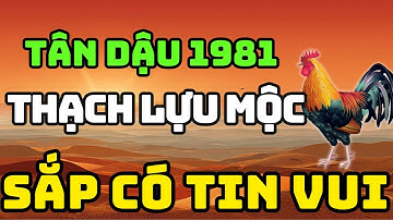 Tuổi Tân Dậu 1981 Là Người Có Phúc Có Phần, Về Già Hưởng Lộc Tổ Tiên Nếu Biết Sớm 8 Điều Này