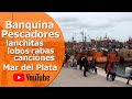Banquina de Pescadores - Lanchas y Lobos Marinos - Puerto de Mar del Plata - Rabas y Pescados.