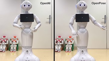 Comparing GAN-based talking gesture generation trained by different skeleton capturing systems