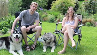 AO Malamutes 2/3 - Characters, Training and Diet