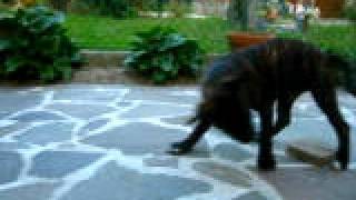 This Stone Makes Me Crazy 1