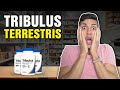 I Tried Tribulus Terrestris, Here's What Happened