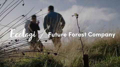 Ecologi X The Future Forest Company | Tree-planting in Scotland 🌳