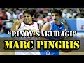 "Pinoy Sakuragi" Marc Pingris 2014-2015 PH CUP Highlights