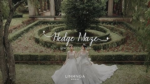 👑KHÁM PHÁ VẺ ĐẸP CỦA SỰ HUYỀN BÍ QUA BST HEDGE MAZE 👑