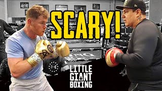 SCARY! CANELO THROWS 20 PUNCH COMBO IN 3 SECONDS - SHOWS CRAZY SPEED & POWER AT 175 FOR DMITRY BIVOL