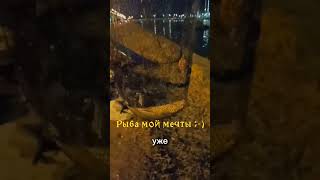 Рыбалка | Клёв около Финского залива