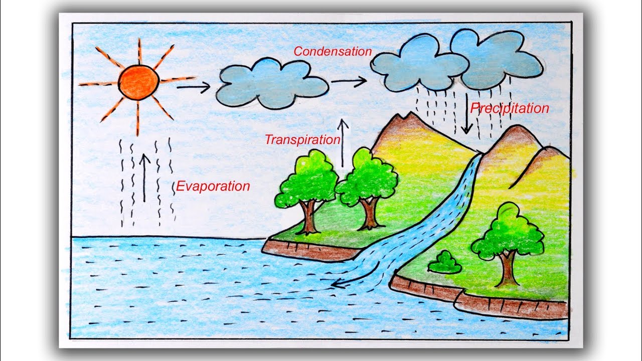 Water Cycle Cut and Stick Labelling Worksheet (teacher made)