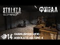 Финал! S.T.A.L.K.E.R. Зов Припяти с GUNSLINGER MOD + AN4 #14