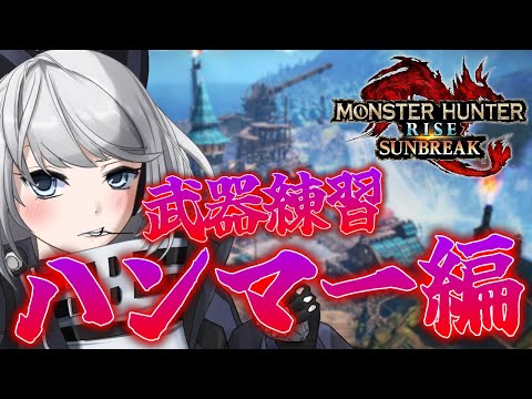 【MHRise:SB/switch版】ガンランス使いの私はハンマーを担いで色んなクエスト行くよ‼※傀異研究レベル・MR制限ナシ【初見さん歓迎】【Vtuber】#モンハンサンブレイク