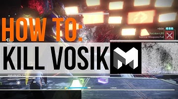How to KILL/BEAT VOSIK: Wrath of the Machine Raid Guide (First Boss)