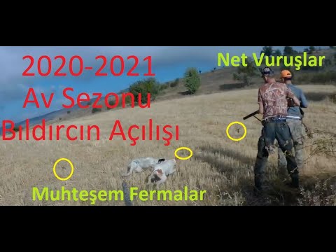 2021 Hunted 2021 Hunted