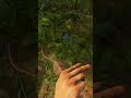 Rust: Blue Mushrooms Are Dangerous In The JUNGLE!!