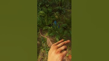 Rust: Blue Mushrooms Are Dangerous In The JUNGLE!!
