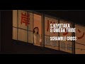 S.KIYOTAKA &amp; OMEGA TRIBE - SCRAMBLE CROSS (Unofficial Music Video With Romaji Lyrics)