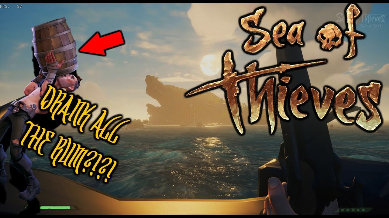 I Drank All The Rum Sea Of Thieves YouTube