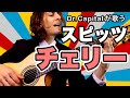   dr capital