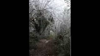 Short section of walk down the frosty track to Monmouth ...