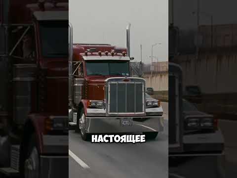 Совсем не просто было найти свободную камеру в тюрьме... #факты #кино #фильмы #shorts