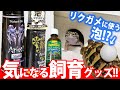 【購入品】爬虫類飼育グッズを紹介！アリオンシェッド・トータスフォーム・ジオシェルター・レプチゾル