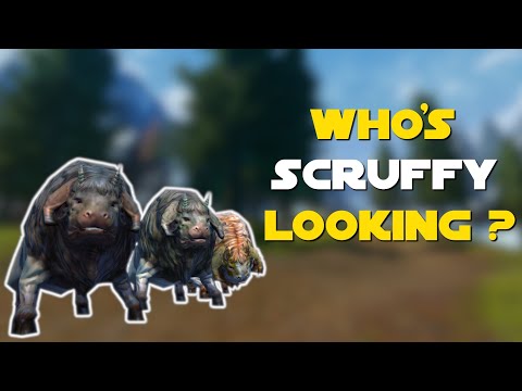 SWTOR Who's Scruffy Looking Achievement Guide