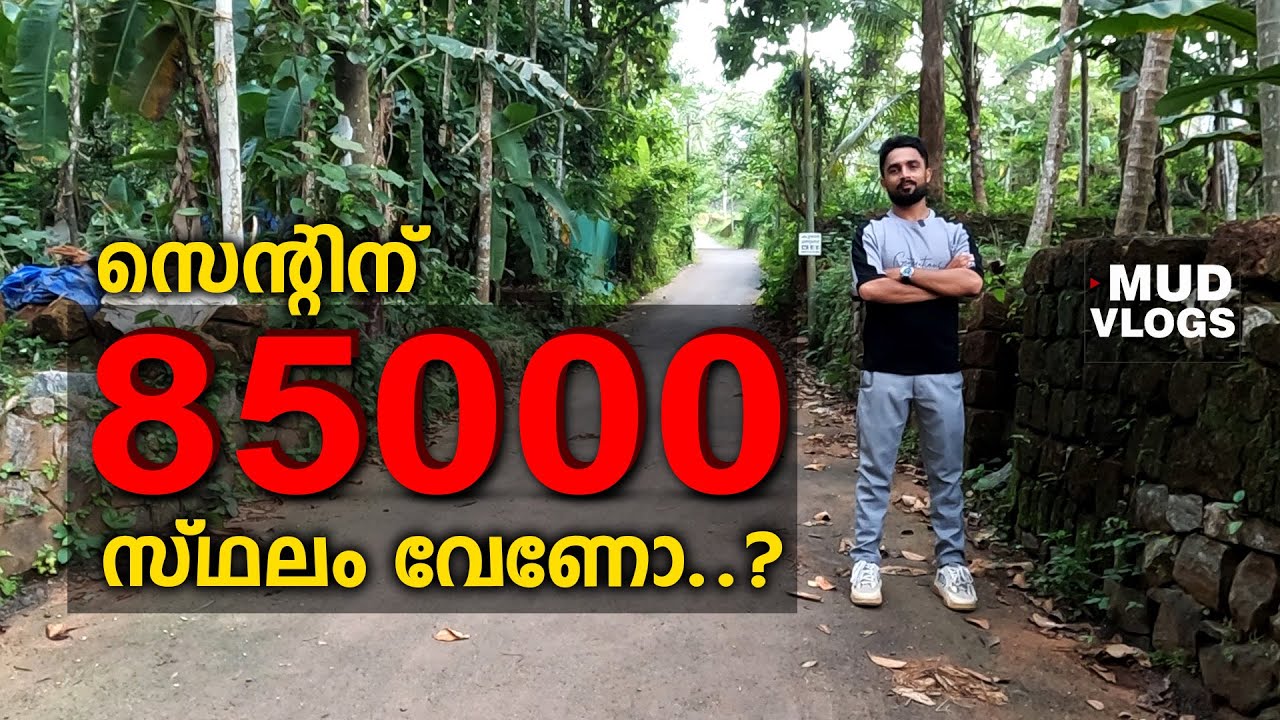 സെന്റിന് 85000 രൂപ വിലയിൽ വാങ്ങാവുന്ന  സ്ഥലം🌲| LAND FOR SALE IN KOZHIKODE |