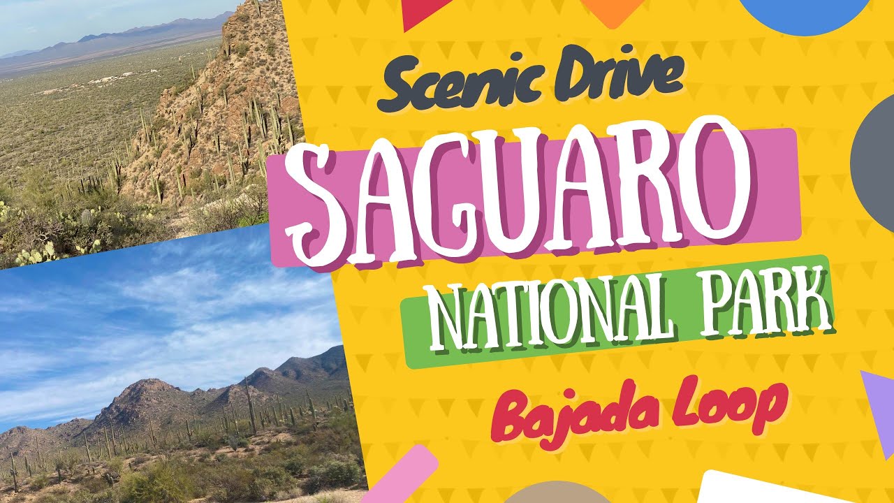 Saguaro National Park Scenic Bajada Loop Drive to Signal Hill
