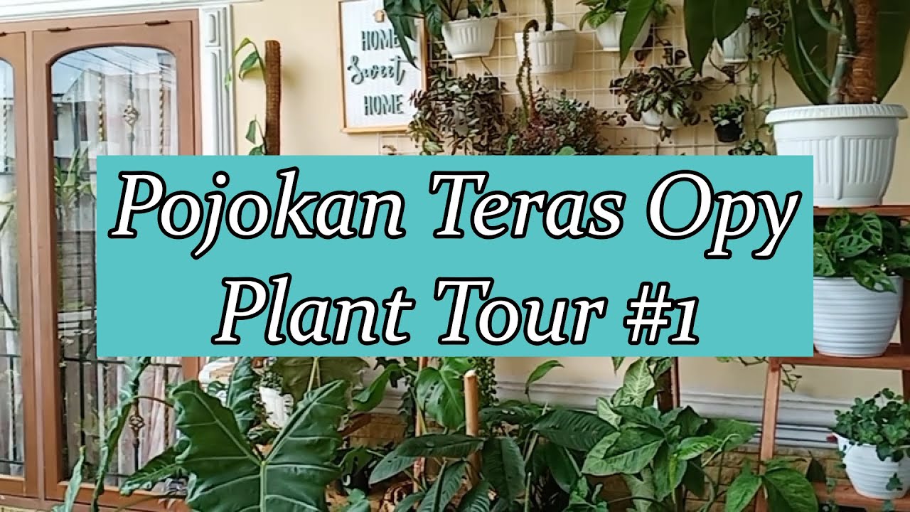 Plant Tour episode 1 YouTube plant-tour-episode-1-youtube