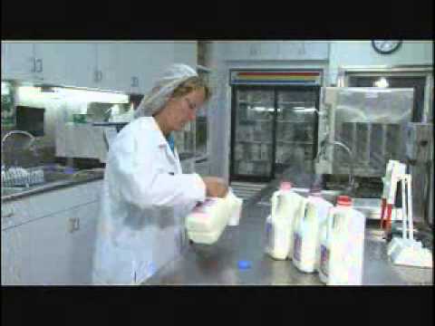 Producers Dairy Long Form Sample