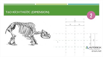 Family Revit | Bài 02: Các bước cơ bản để tạo Family