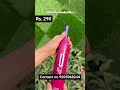 Video Image