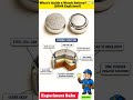 The Secret Inside a Watch Battery! 🔋🔥