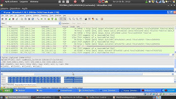 20  Fuzzing con Sulley Framework