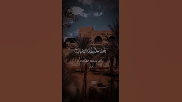 لا أقسم بهذا البلد #اكسبلور #المنشاوي #سورة_البلد