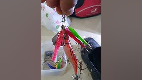 Cách làm mồi câu bạch tuộc hiệu quả