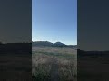 Backyard of our Colorado Farm airbnb #colorado #mountains #airbnb #view