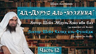 Важные уроки [12/22] - Шестнадцать желательных действий в Намазе | Шейх Халид аль-Фулейдж