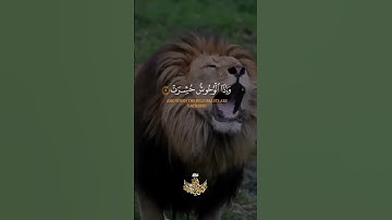 القارئ عبد الباسط سورة التكوير