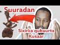 sixirka qubuurta ku burburi suuradaan