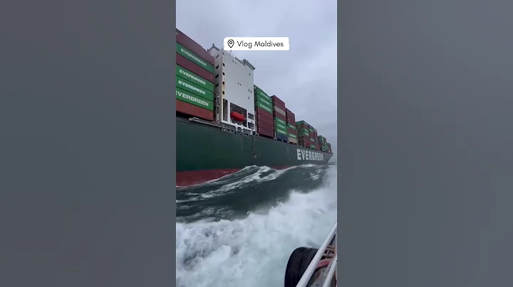 An Evergreen ship 😍😍😍 #short #evergreen #biggestship #amazing - DayDayNews