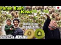 PANEN BUAH KIWI DI SHIZUOKA JEPANG | MAKAN SEPUASNYA SEHARIAN. TIKATAKI VLOG