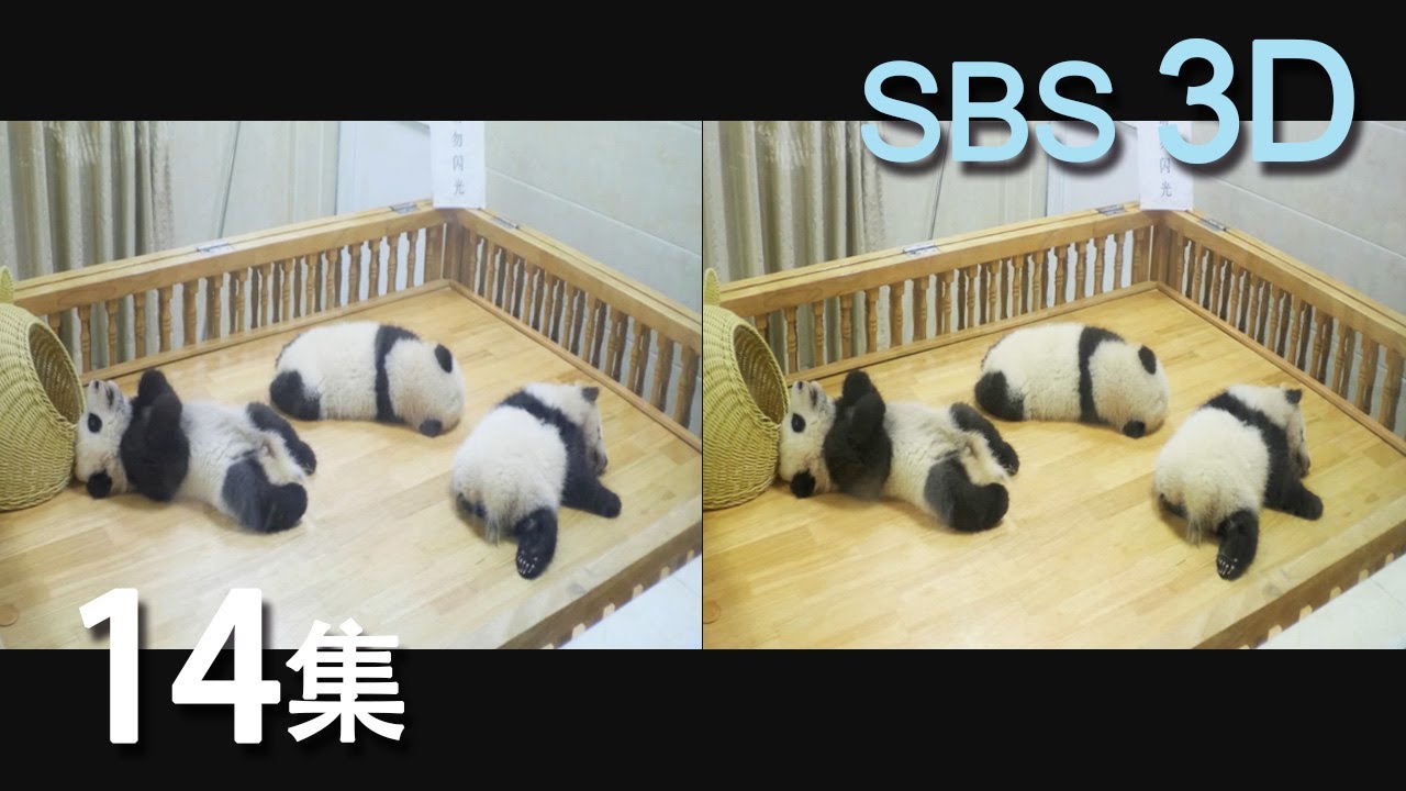 Panda Space 30min Episode14 熊猫空间14集 Youtube