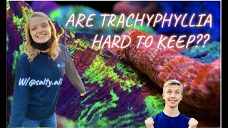 HOW to KEEP Trachyphyllia in my REEF TANK!!! ( Insane Trachy )😱