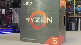 The Best 6-Core Gaming Processor Ever - AMD Ryzen 5 5600X